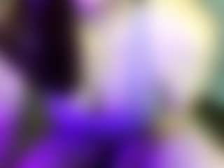 JesseJaymez's Live Sex Cam Show