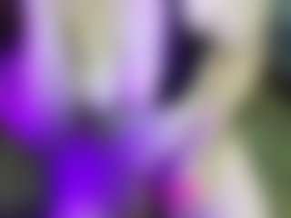 JesseJaymez's Live Sex Cam Show