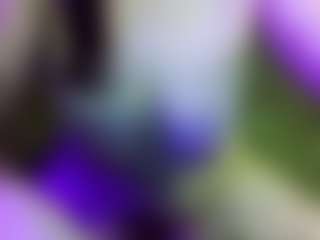 JesseJaymez's Live Sex Cam Show
