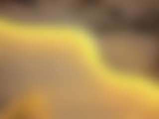 Live cam show with BIG ASS - Asian BBW on Dare Cams