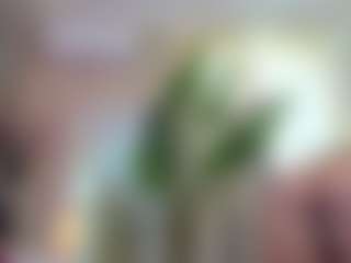 Bella-Posh's Live Sex Cam Show