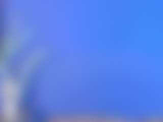 Live cam show with Ivanaa__ - Trimmed Asian on Camiplay Live
