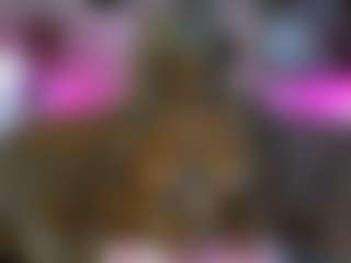Malaysiathadoll's Live Sex Cam Show