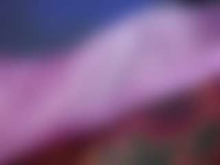 Show in cam erotica live di aleja-dolly