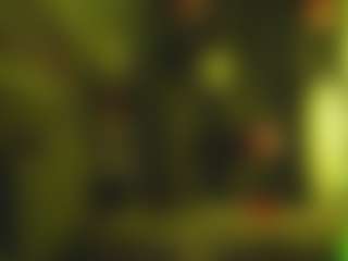 telladreamerr's Live Sex Cam Show