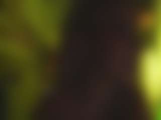 telladreamerr's Live Sex Cam Show