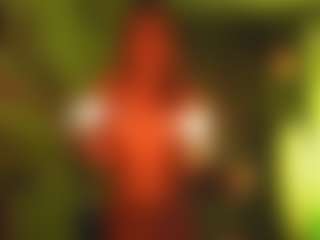 telladreamerr's Live Sex Cam Show