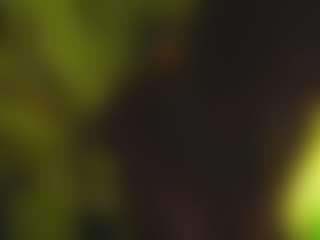 telladreamerr's Live Sex Cam Show