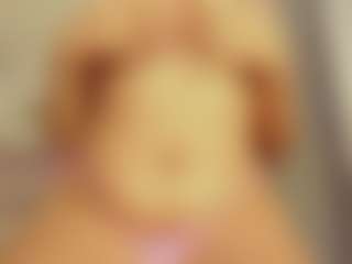 Stefy-Craft's Live Sex Cam Show