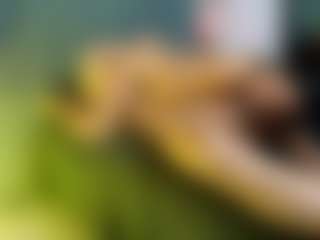 Max and Ashley's Live Sex Cam Show