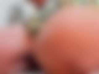 Squirtkimm