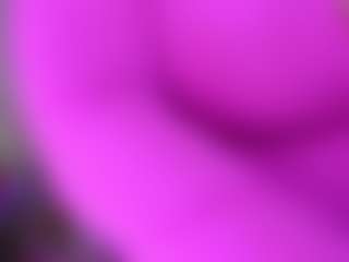 LexyEva's Live Sex Cam Show