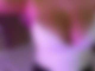 LexyEva's Live Sex Cam Show