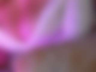 LexyEva's Live Sex Cam Show