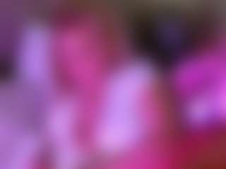 LexyEva's Live Sex Cam Show