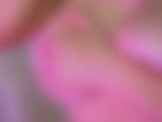 LexyEva's Live Sex Cam Show