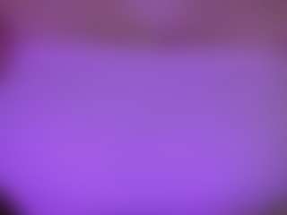 LexyEva's Live Sex Cam Show
