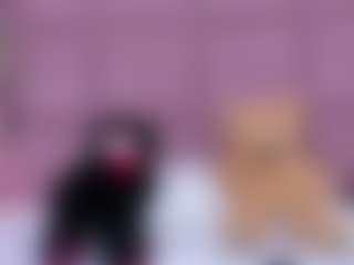 Amy's Live Sex Cam Show