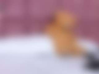 Amy's Live Sex Cam Show