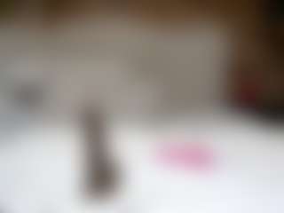 Queen Lola XXX's Live Sex Cam Show