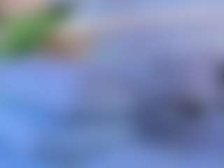 Live cam show with Valeryy-Smith - Cowgirl on anonymated.com