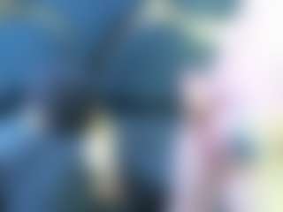 Mattiias69's Live Sex Cam Show