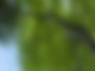 meatypetey4's Live Sex Cam Show