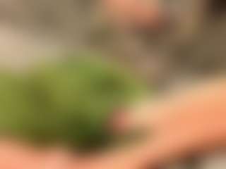 Live cam show with joeiandola - Brown Eyes on Camsoda