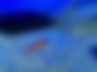 BellatrixSoul's Live Sex Cam Show