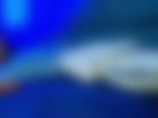 BellatrixSoul's Live Sex Cam Show