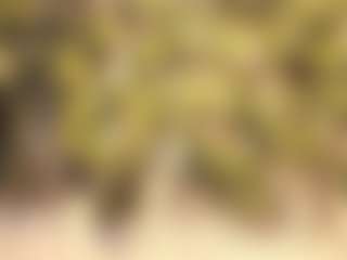 Obsession Mine 🔞's Live Sex Cam Show