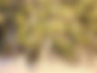 Obsession Mine 🔞's Live Sex Cam Show