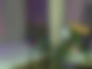 Live cam show with Rina - Athletic White on TeamSkeetLive | united states