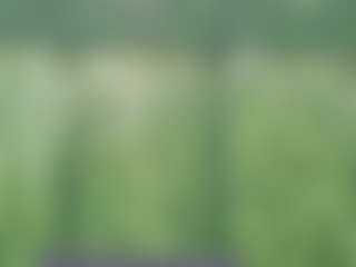 Live cam show with HORNY_BIG_ASS - Slimthick on TottyGirls