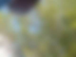 HORNY_BIG_ASS's Live Sex Cam Show