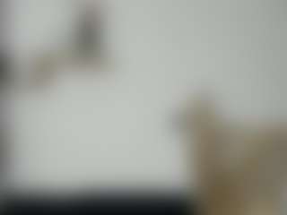 Live cam show with Skyy-jonnes - Normal on StripNow