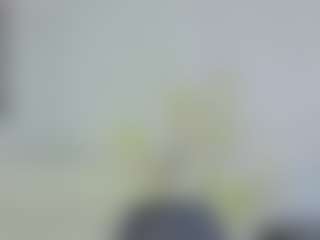 InnaVolkova's Live Sex Cam Show