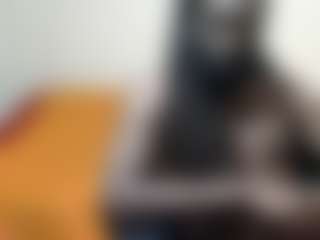 Live cam show with Darkkras - White on Dolls Live | barbados