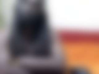 Live cam show with Darkkras - Black Hair on LiveSexCams6