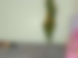 Bellah247's Live Sex Cam Show