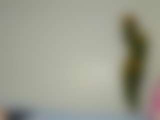 Bellah247's Live Sex Cam Show