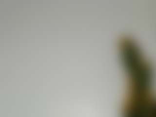 Bellah247's Live Sex Cam Show