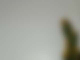 Bellah247's Live Sex Cam Show