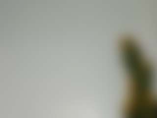 Bellah247's Live Sex Cam Show