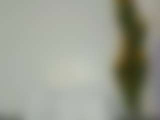 Bellah247's Live Sex Cam Show