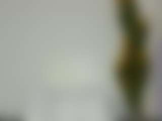 Bellah247's Live Sex Cam Show