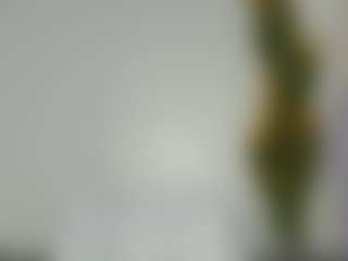 Bellah247's Live Sex Cam Show