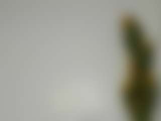 Bellah247's Live Sex Cam Show