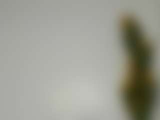 Bellah247's Live Sex Cam Show