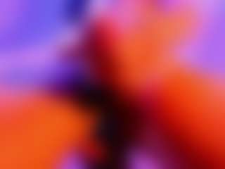 DominicDicaio's Live Sex Cam Show